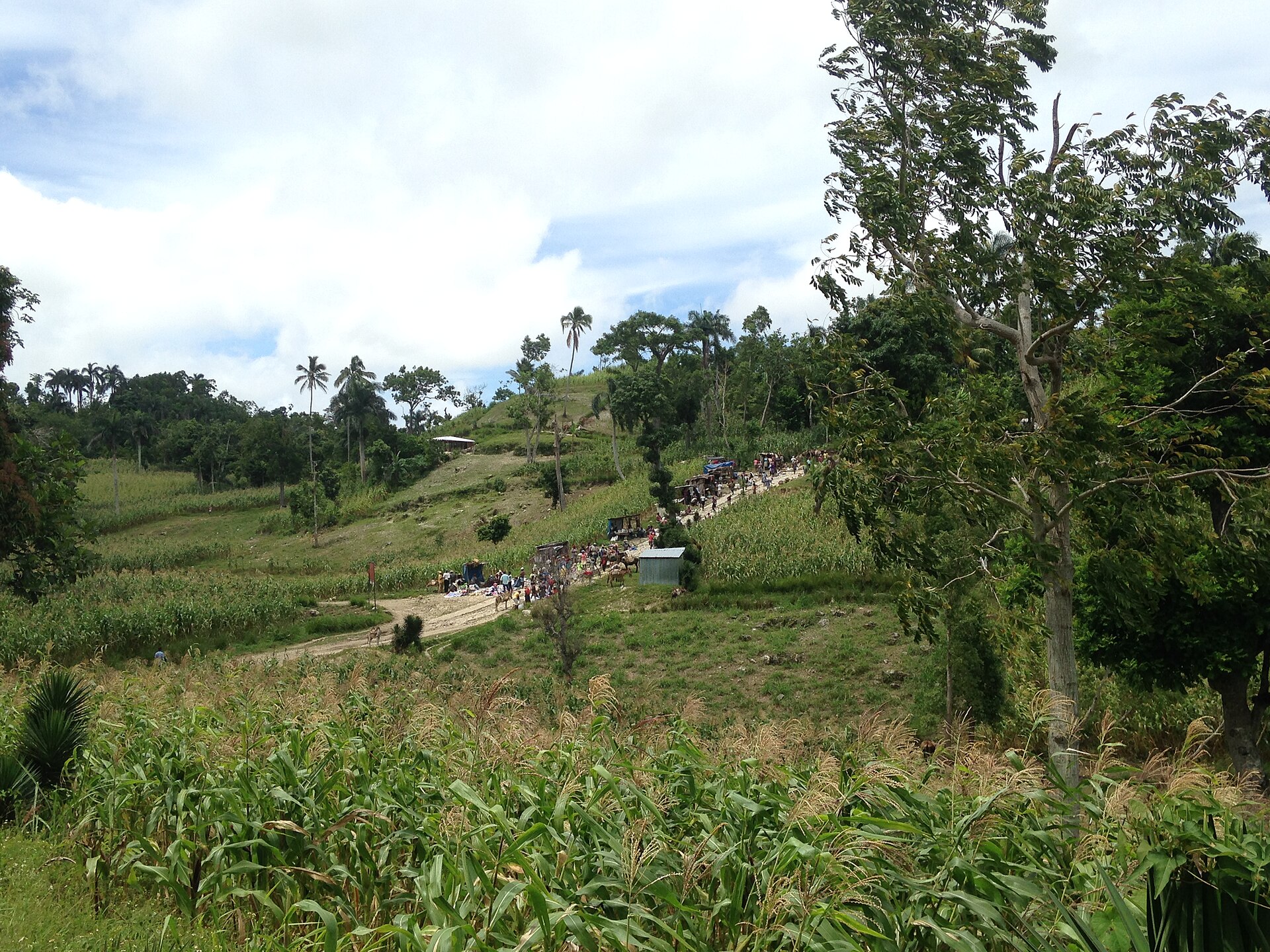 Market in Delatte, Petit-Goâve