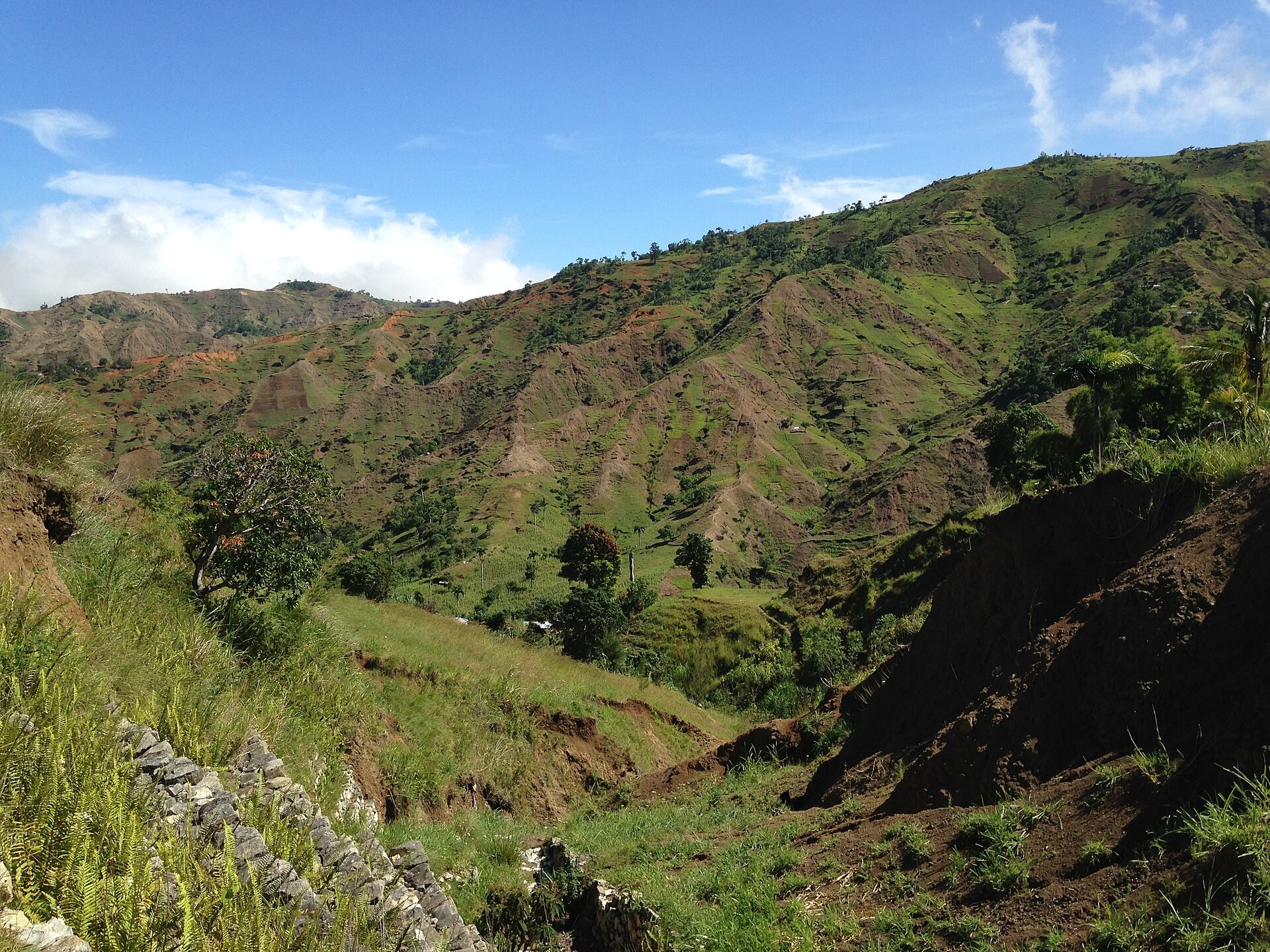 The hills of Les Palmes, Petit-Goâve
