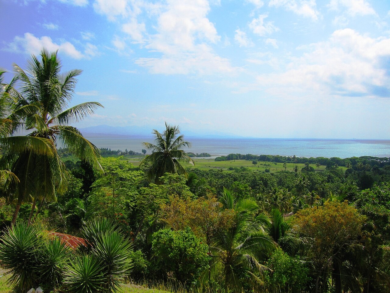 The landscape near Les Cayes