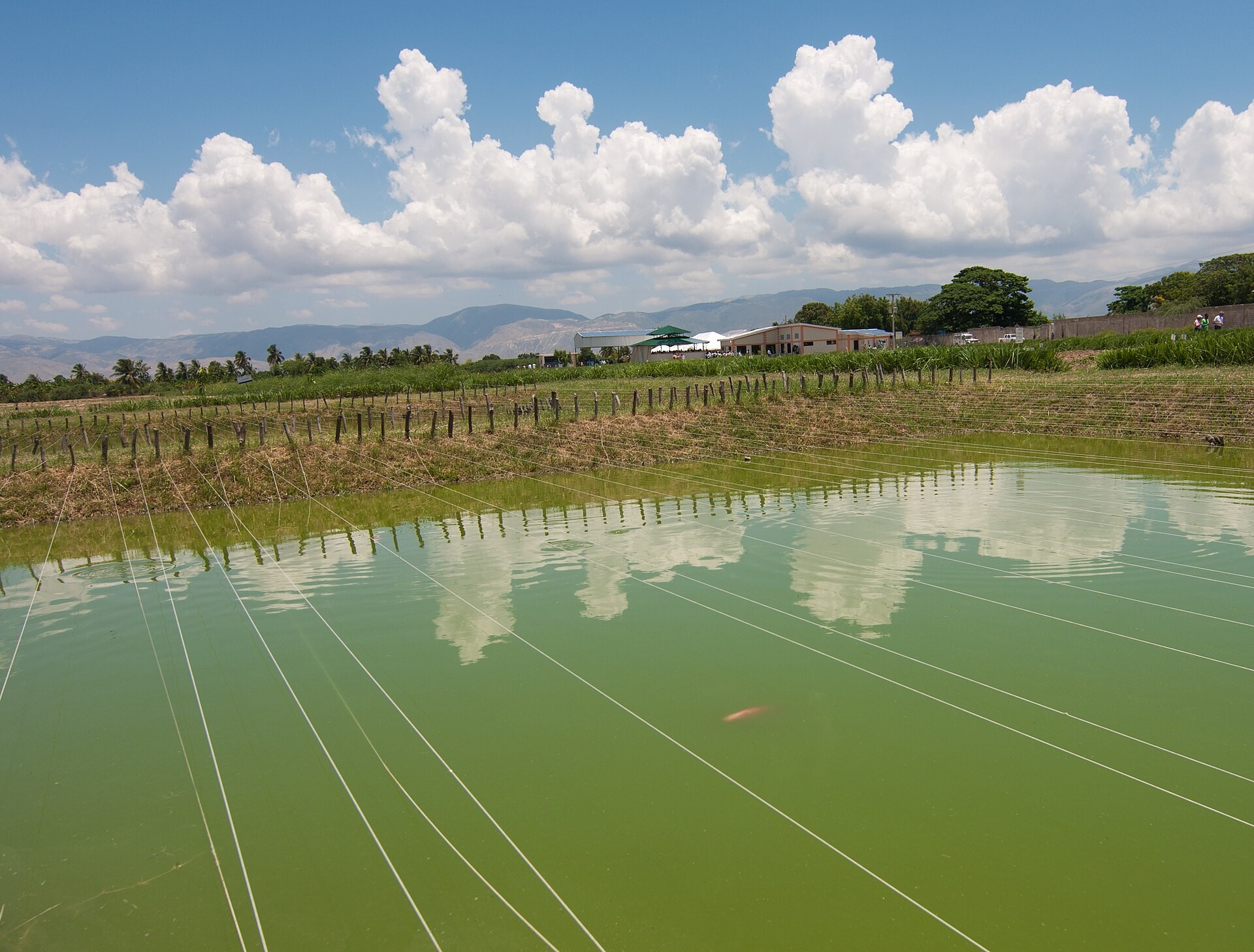 A fish farm in Bas Boan