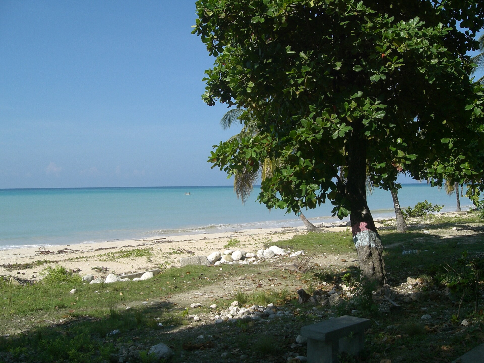 The coast at Port-Salut