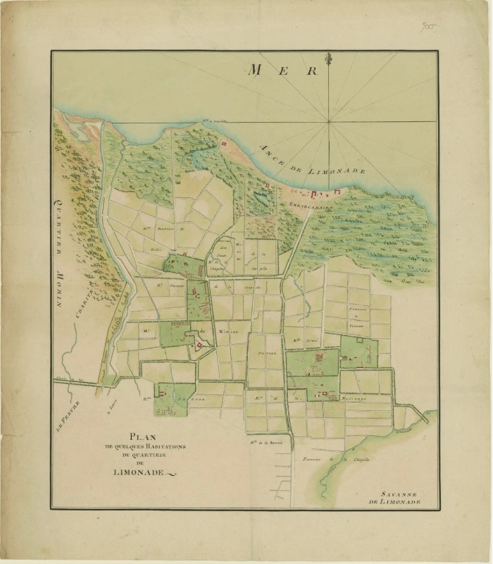Limonade plantation plan